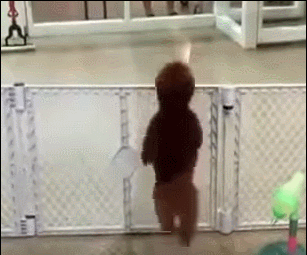 ÁÖÀÎ ¹ß°ßÇÑ ¹Ý·Á°ß